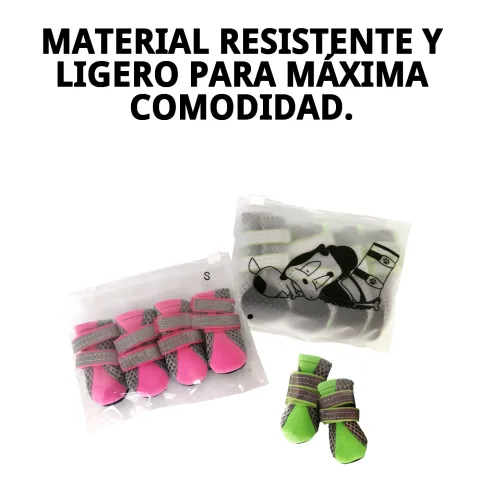 Zapatos Moly Mascota T-L puestos en perro en exterior