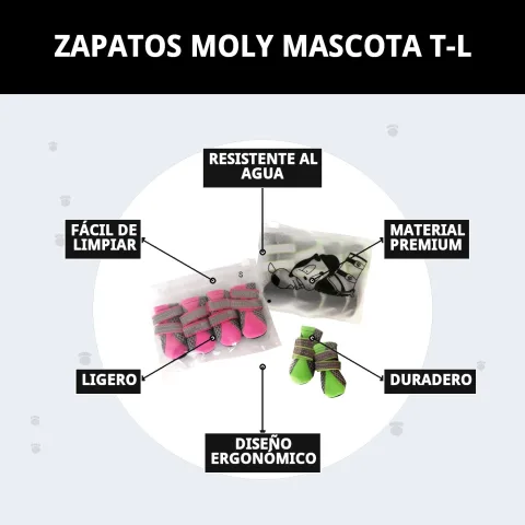 Zapatos Moly Mascota T-L detalle cierre y ajuste