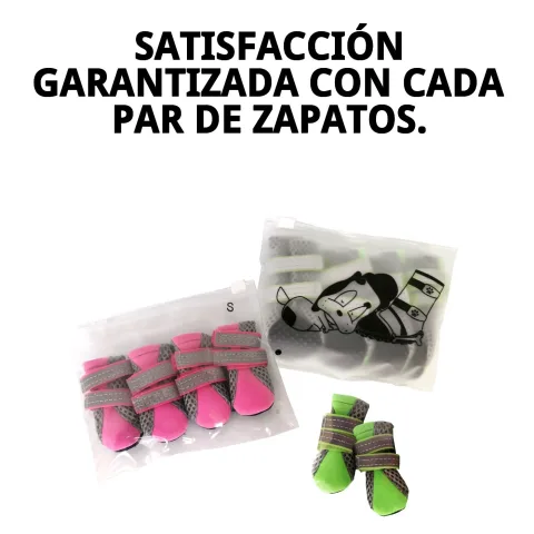 Colores disponibles de los zapatos Moly Mascota T-M