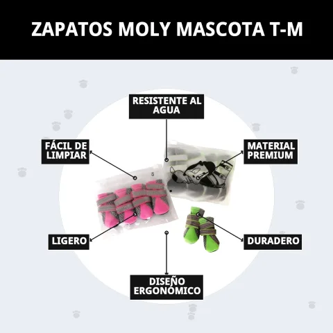 Empaque y presentación de los zapatos Moly Mascota T-M