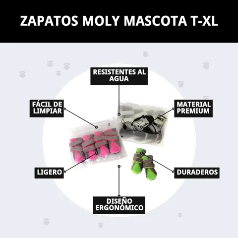 Embalaje y presentación de zapatos Moly Mascota T-XL en Mar Mascotas