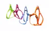 Harnais avec laisse fluor 1,3 couleurs