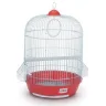 Cage Manila 53 x 33 cm