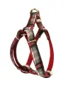 PETRAL  ESCOCES T-5 40-50*2