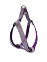 Harnais Moly lila T-3 30-40x1,5 cm