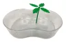 Tortuguera plastique avec palmiers 31x21x7,5 cm